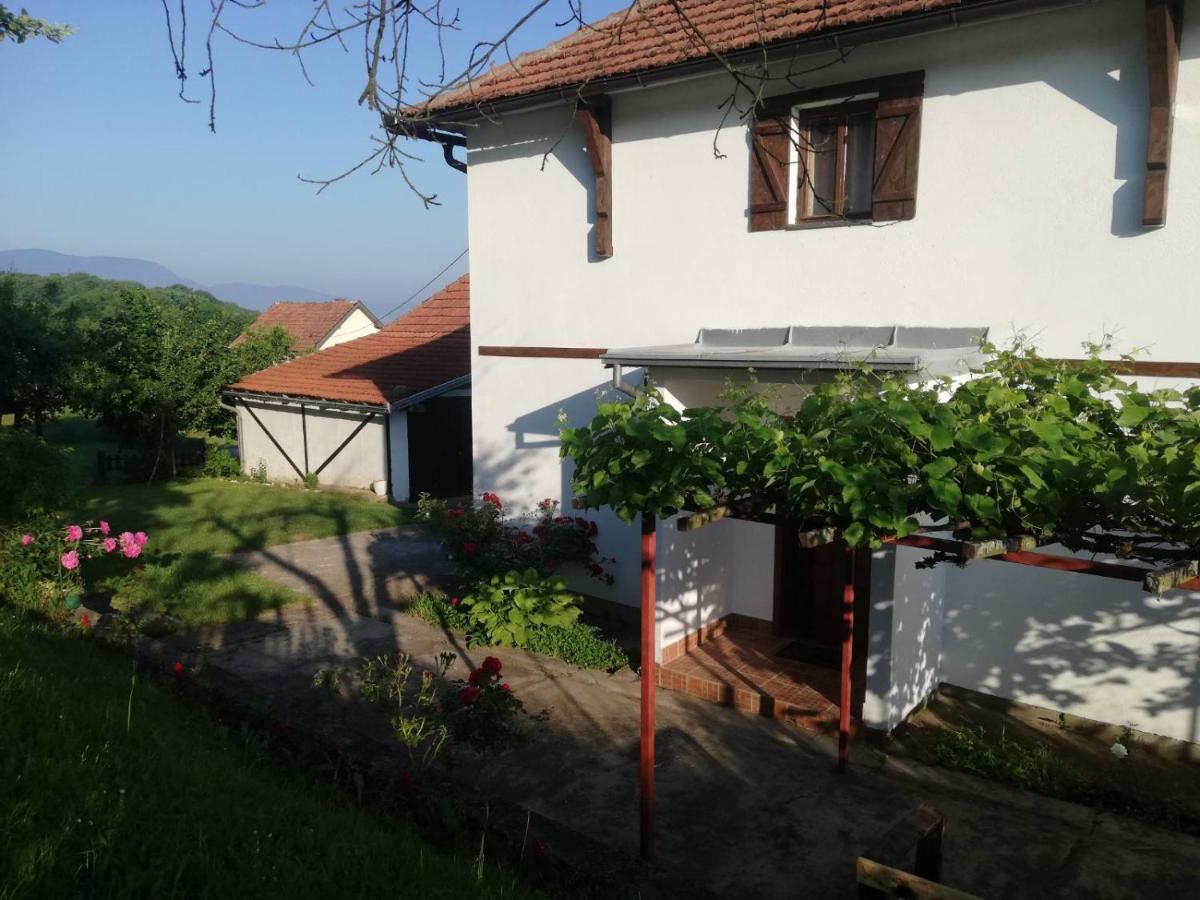 Vikendica I Vajat Vrbica Villa Kalesija Exterior photo