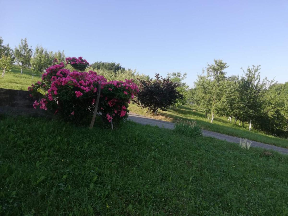 Vikendica I Vajat Vrbica Villa Kalesija Exterior photo